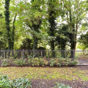 Picture No. 13